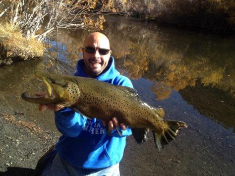 20 pound Brown Rush Creek