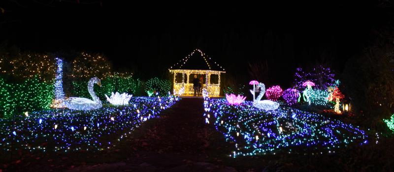 Holiday Lights at The Village Green by Hayley Radich Holiday Lights at The Village Green by Hayley Radich