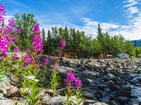 Denali Hostel Cabins