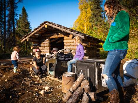 Alaska Sled Dog Tours