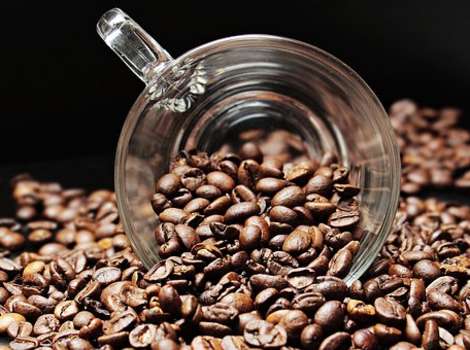 Rooster S Crow Coffee Roastery