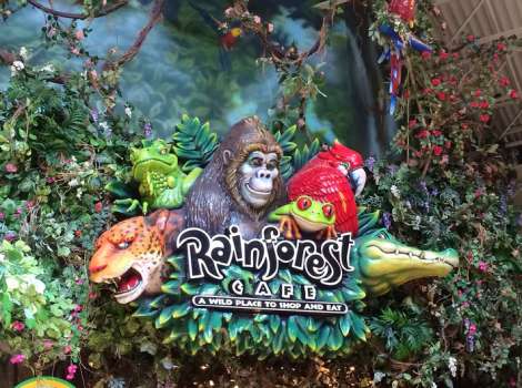 Rainforest Cafe