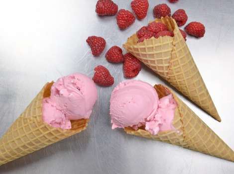 Andia S Homemade Ice Cream Catering Showroom Morrisville Nc 27560