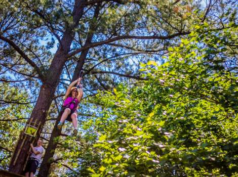 Go Ape Treetop Adventure Treetop Journey Raleigh Nc