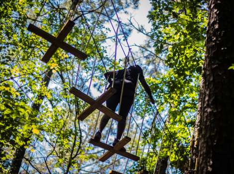 Go Ape Treetop Adventure Treetop Journey Raleigh Nc