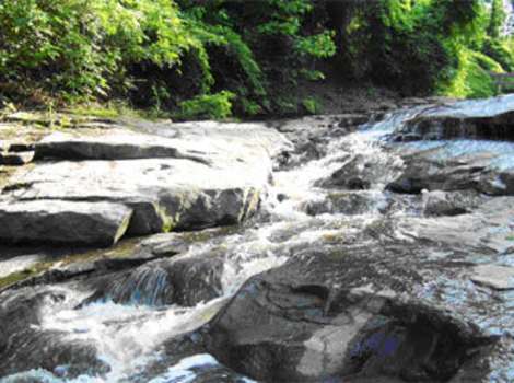 Reedy Creek