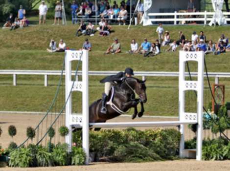 Great Lakes Equestrian Festival