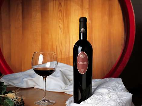Vino Adventure