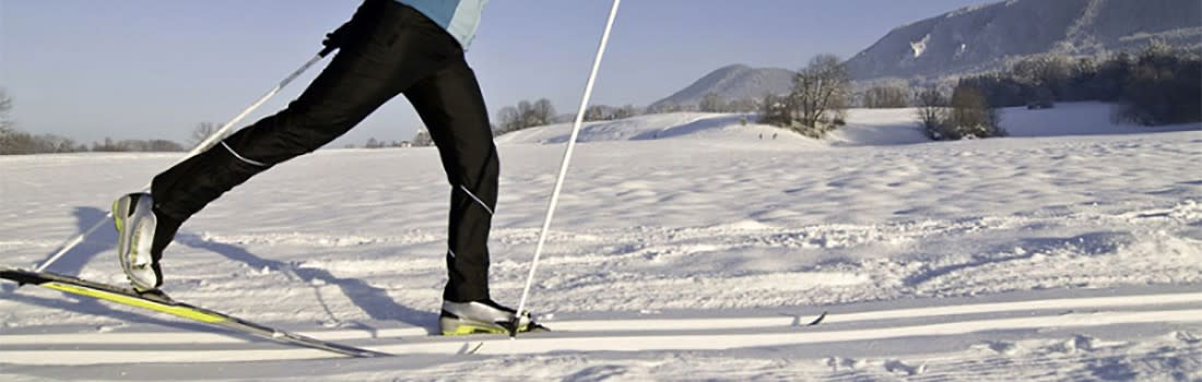 Cross-Country Skier