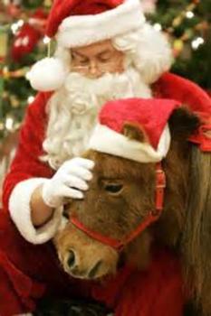 Christmas with the Ponies
