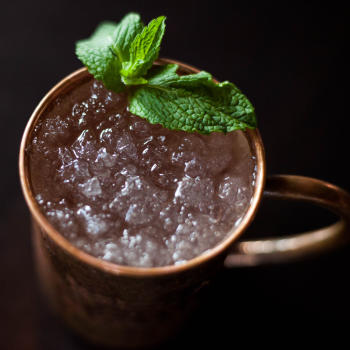 Gulf Coast Mule