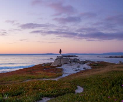 Asilomar State Beach (Square)