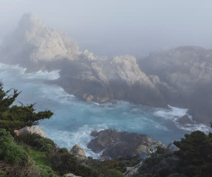 Point Lobos