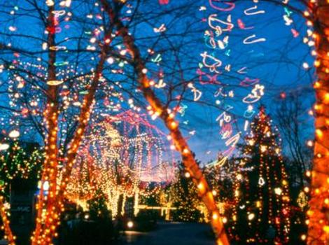 Wildlights At Columbus Zoo And Aquarium Powell Oh 43065