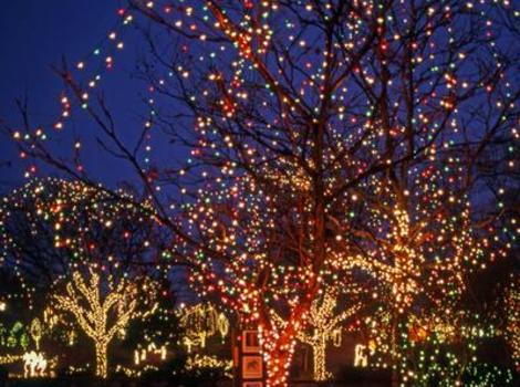 Wildlights At Columbus Zoo And Aquarium Powell Oh 43065
