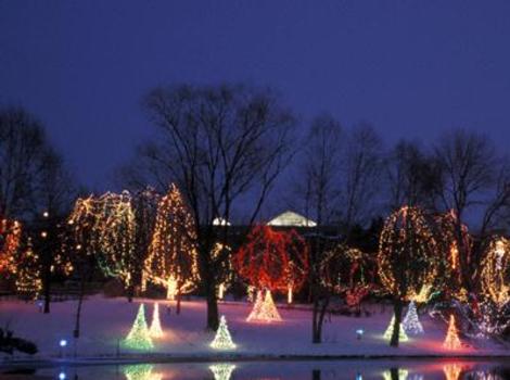 Wildlights At Columbus Zoo And Aquarium Powell Oh 43065