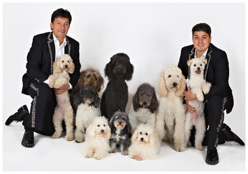 Olate Dogs