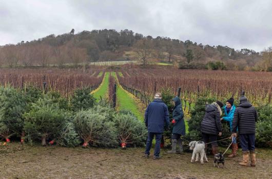 /community/news/whats-on/""