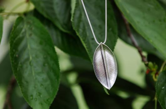 /community/news/whats-on/""