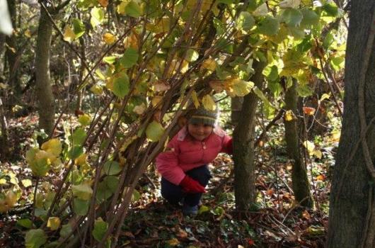 /community/news/whats-on/""