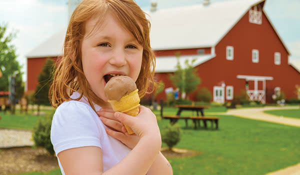 Fair Oaks Farms Ice Cream