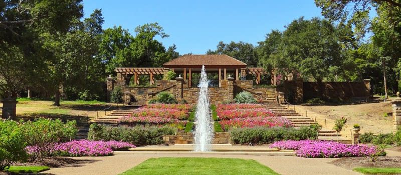 Rose Garden - Blog