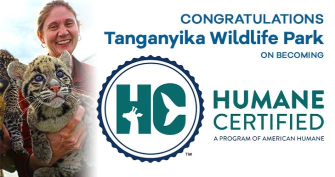 Tanganyika Certification