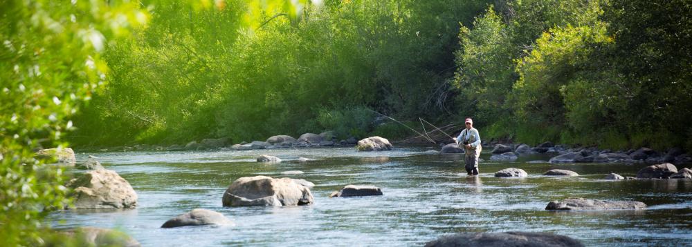A fisherman casts a line into the river