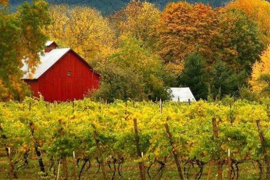 Events Calendar | Eugene, Cascades & Oregon Coast
