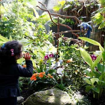 Bloedel Conservatory Queen Elizabeth Park