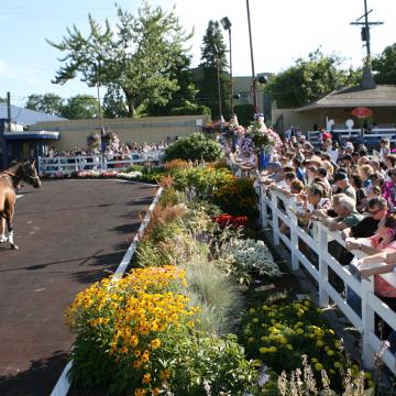 Hastings Racecourse Casino