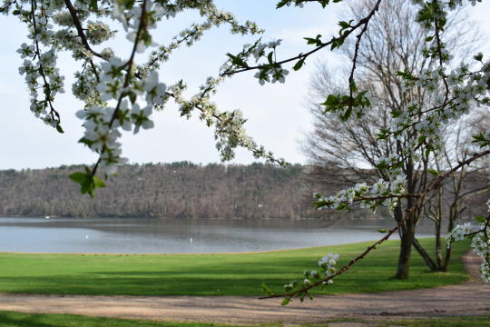 Hiking at Promised Land State