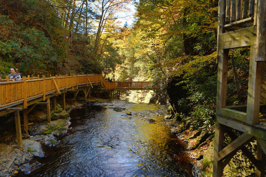 Bushkill Falls