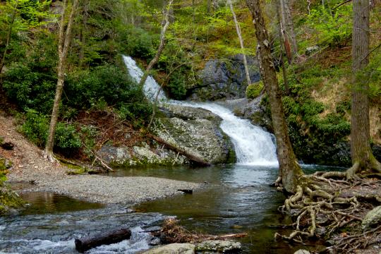 Pocono Environmental Education Center