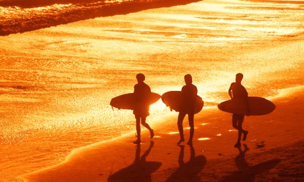 Galveston Beach Surfers