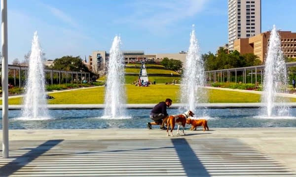 Hermann Park McGovern Centennial Garden