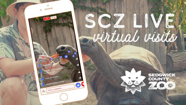 Sedgwick County Zoo virtual visits