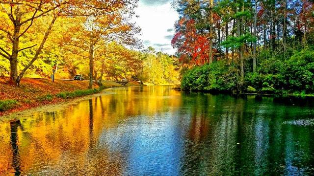 Fall River Color - Fall Photo