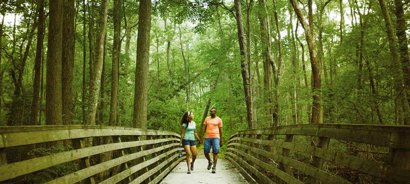 First Landing State Park Hiking