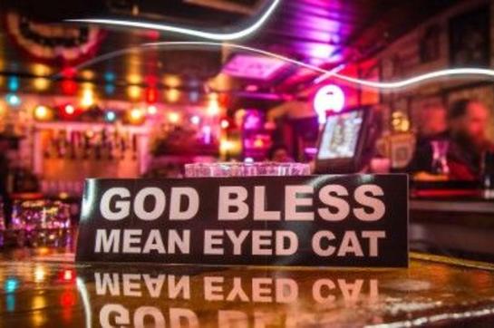 Mean Eyed Cat