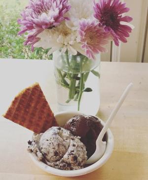 Bowl of Jeni's Ice Cream