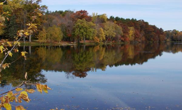 Carson Park