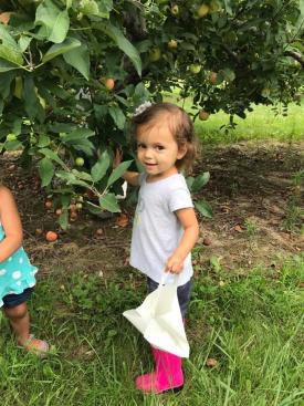 Beasley's Orchard first U-pick little girl