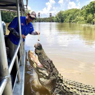 Brutus Feeding - Swamp Tour