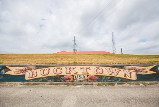bucktown mural