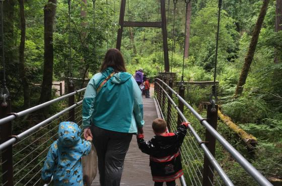 Ravine Bridge