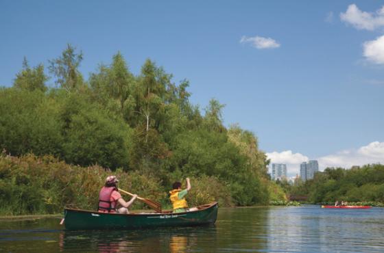 Mercer Slough Canoes
