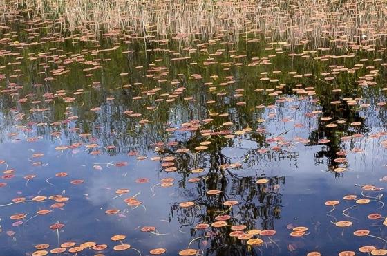 Phantom Lake Loop - Photo Credit Alex Levine