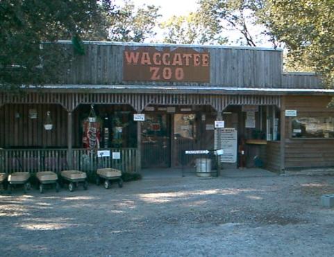 The Waccatee Zoo has thousands of animals representing over 100 species. Waccatee Zoo