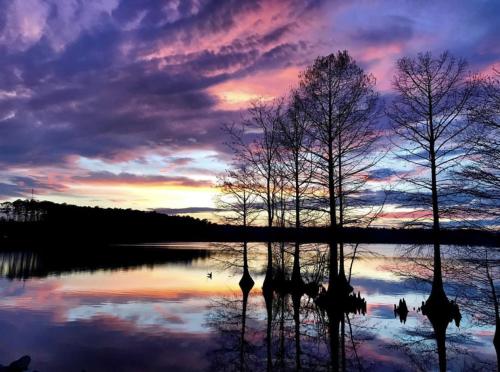 Sunset and trees on Stumpy Lake in Virginia Beach